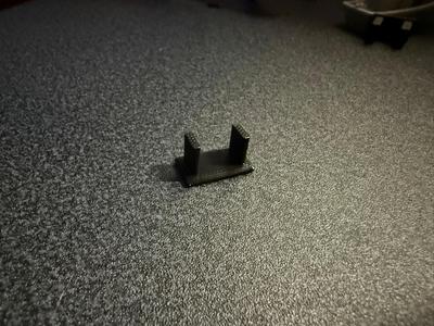 Two-prong plug protector