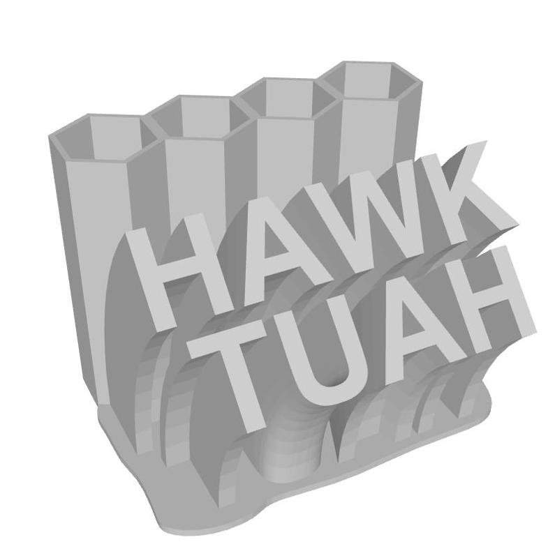 Hawk Tuah HawkTuhh