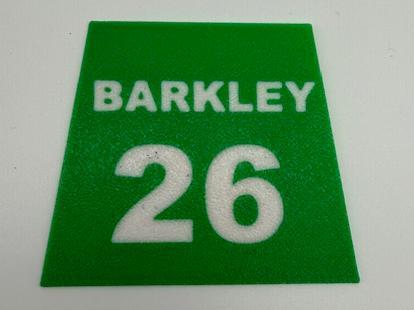 Barkley Name Plate for 500% Brick Men