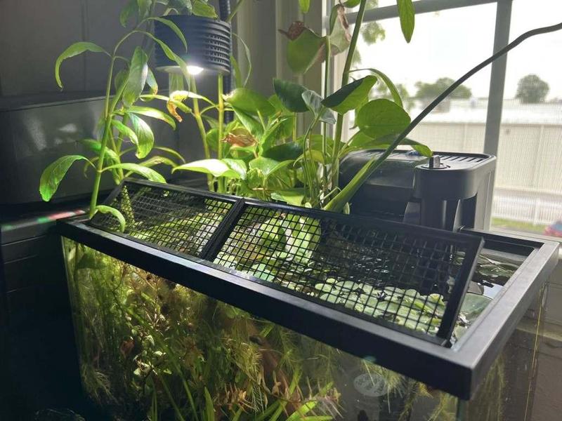 TopFin Aquarium fence