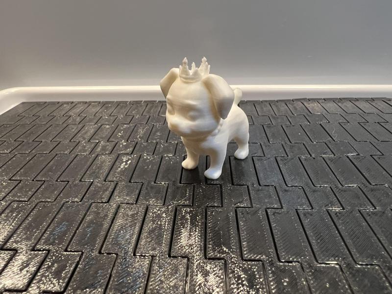 Puppy Prince wearing a necklace and crown