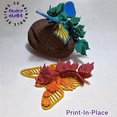 PAPILIO BUTTERFLY DRAGON! 🦋 🐉