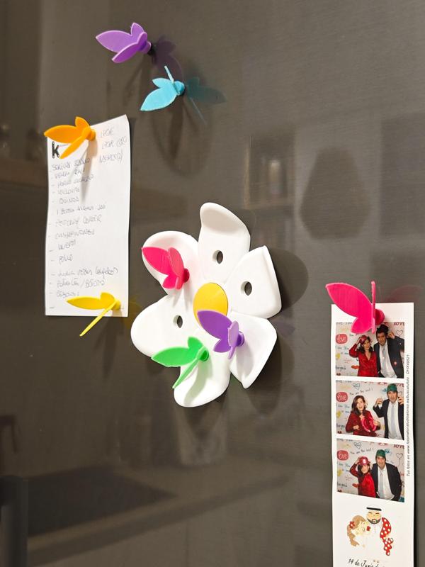 Butterfly magnets