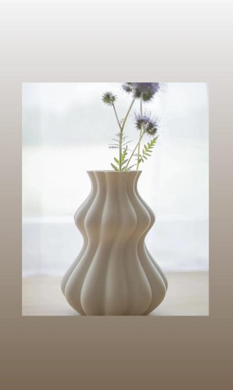 Vase 2.2.1