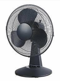 fan