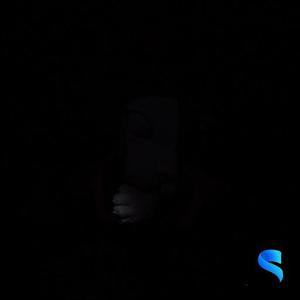 Cat’s Curiosity Book Nook