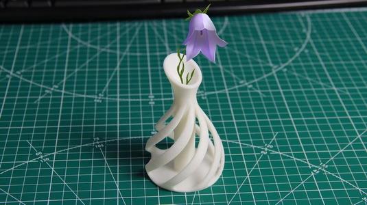 Twisted Vase