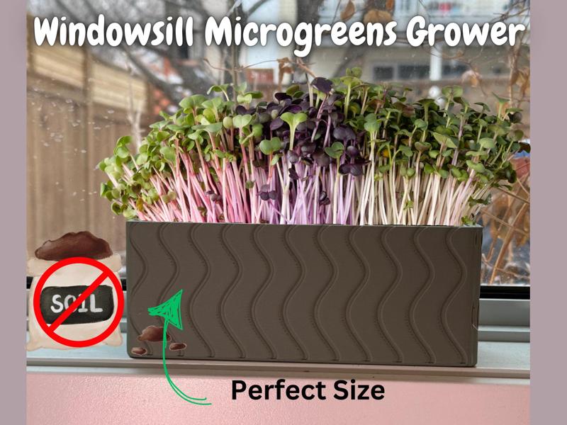 Windowsill Microgreens Grower