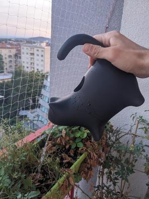 The Watering Cat