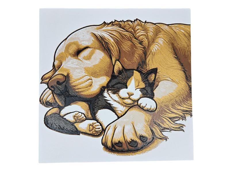 Pup and Kitty Napping