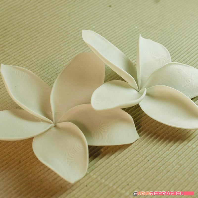 flowers: Plumeria - 3D printable model