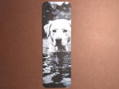 Swimming Dog Bookmark