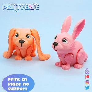 Flexy Bunnies Pair