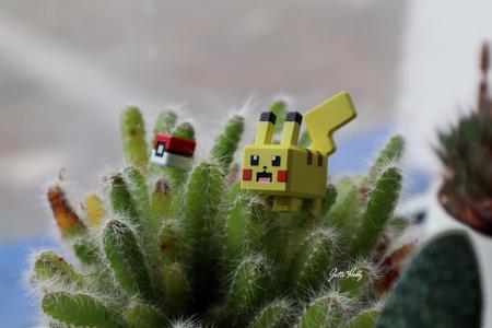 Pokemon Quest - 025 Pikachu