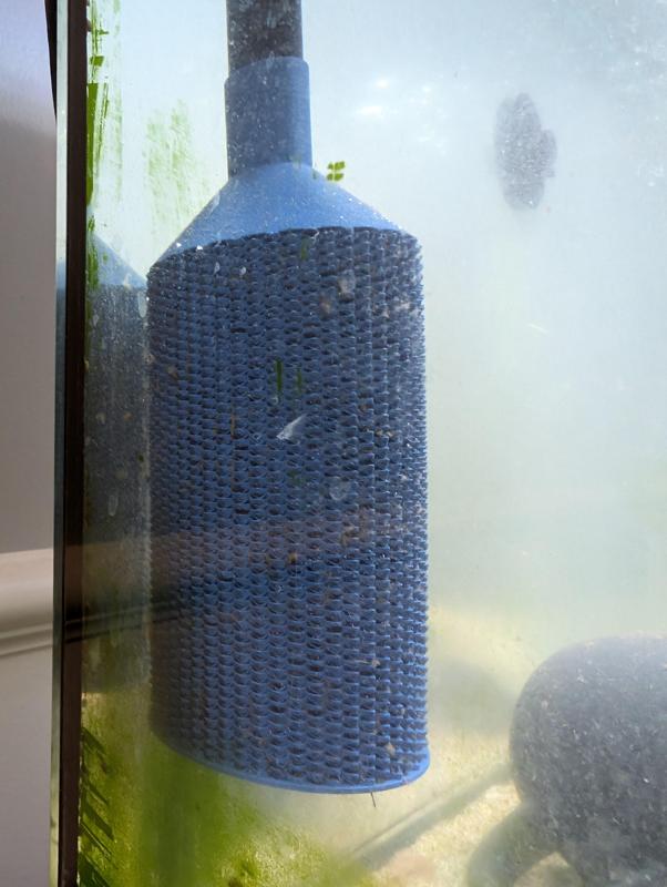 Fluval 107/207 & Aquis 750 Filter