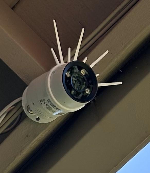 Bird wires for the Reolink IP camera