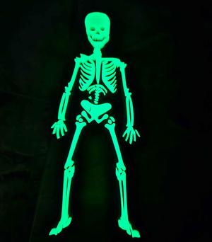 Skeleton Magnet Bambu glow in the dark
