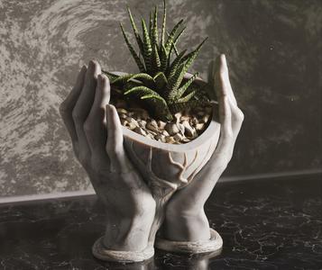 Heart Hands Vase