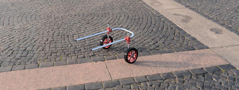 Concept for Dog Wheelchair