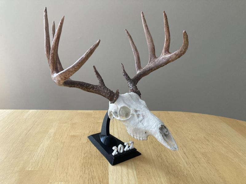Improved Whitetail Deer Euro Mount Miniature