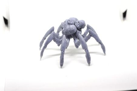 Hell Spider!