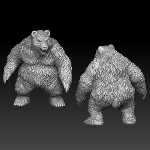 Wild bear