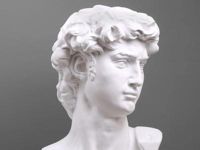 David Head Statue | Sculpture