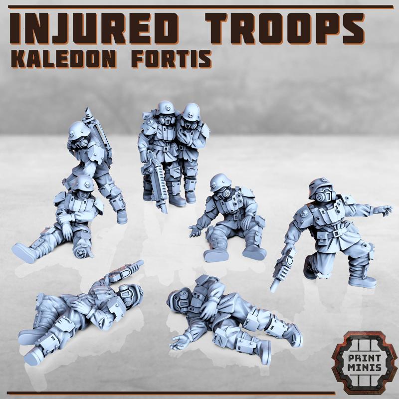 Injured Soldiers - Kaledon Fortis
