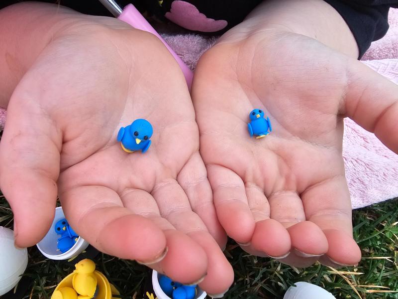 Teeny Tiny Micro Baby Birds