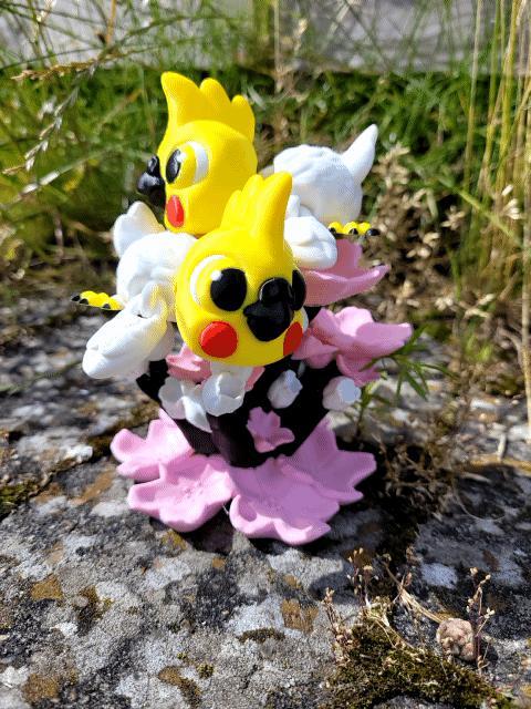 Sassie Hatchlings Cockatiel