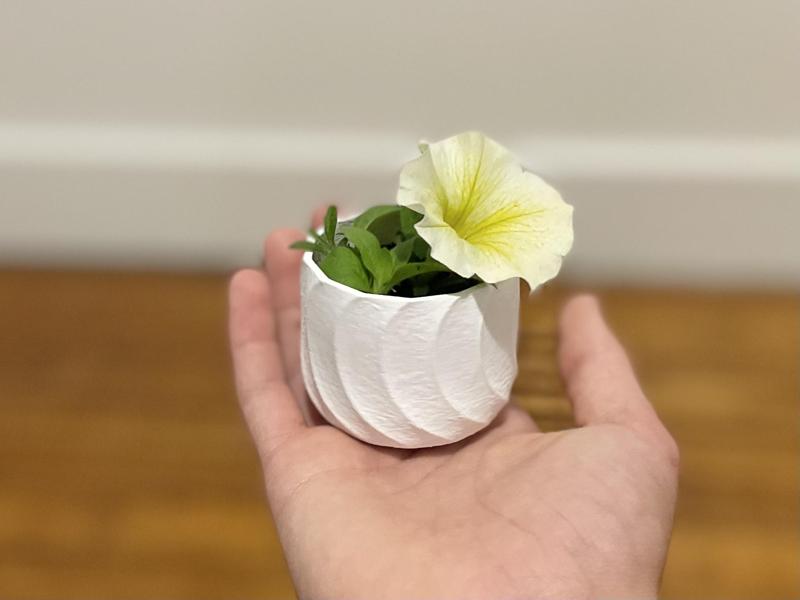 Small flower pot